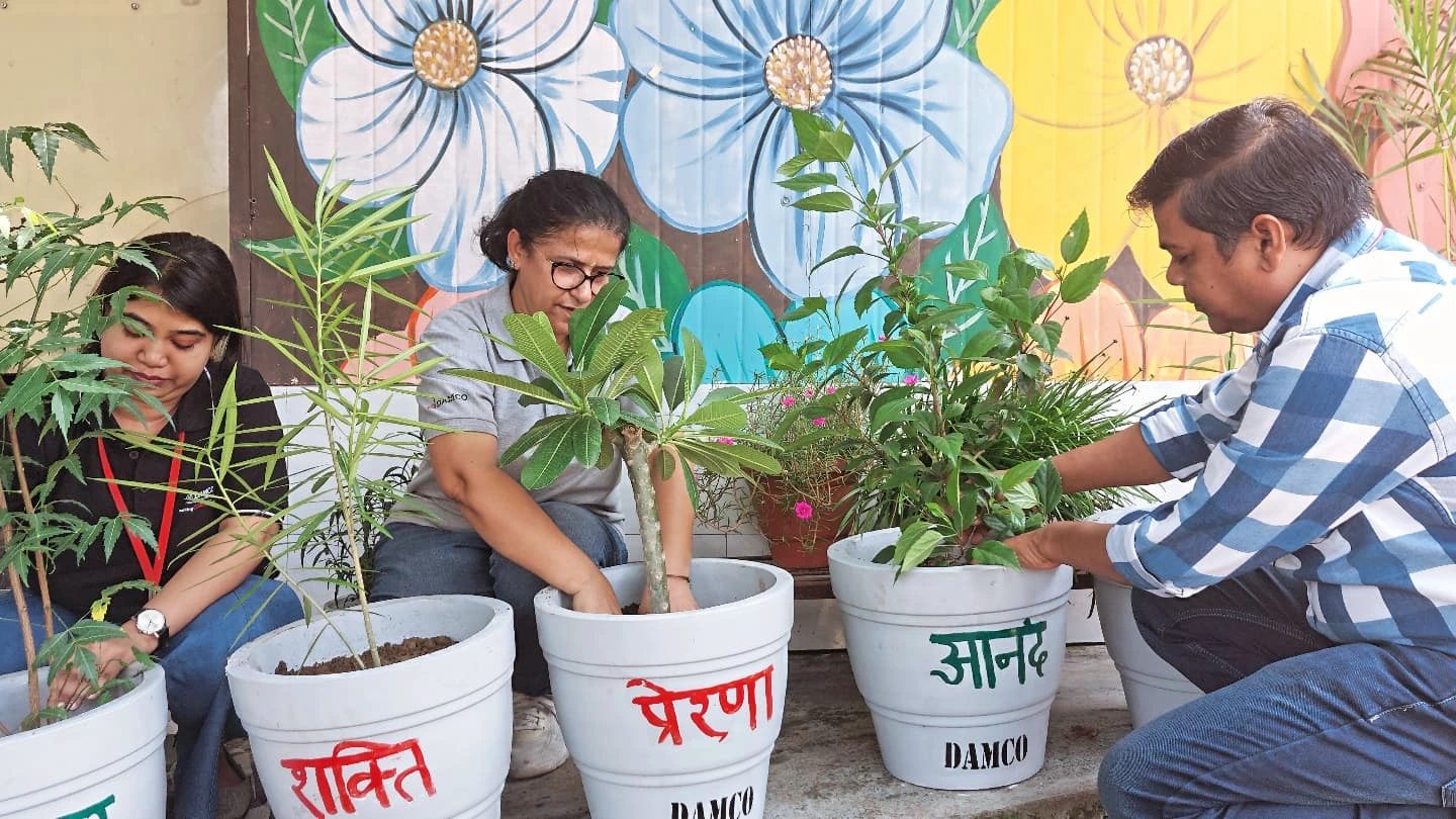 Volunteers planting saplings in painted pots